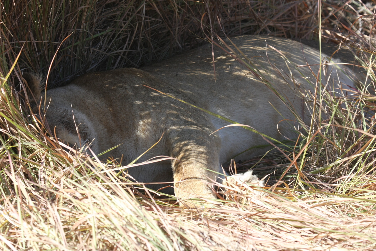 [18650] 2016_06_28_04_10_16_Africa_Canon_EOS_40D_IMG__10144.jpg