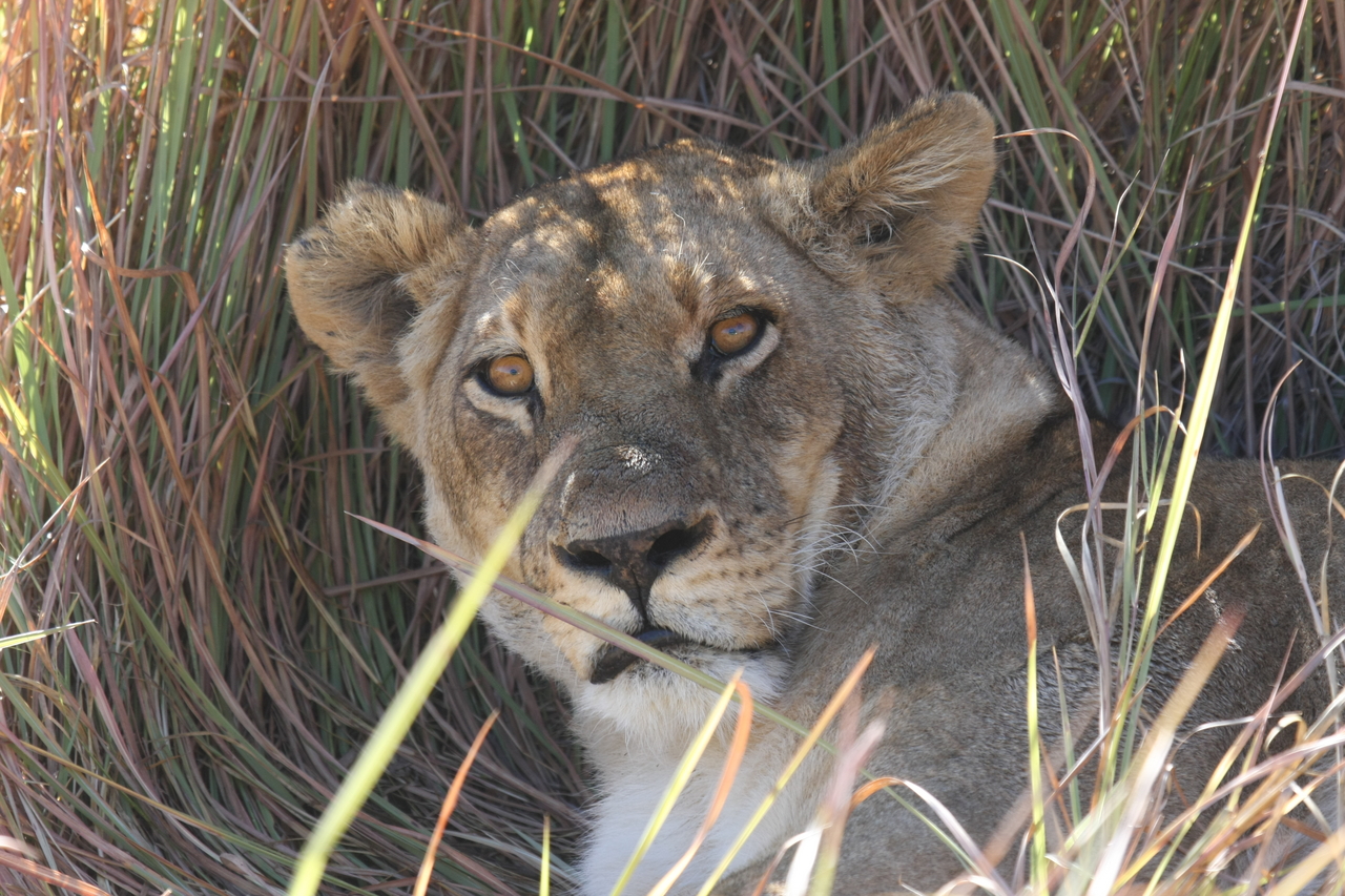 [18679] 2016_06_28_04_15_45_Africa_Canon_EOS_40D_IMG__10154.jpg