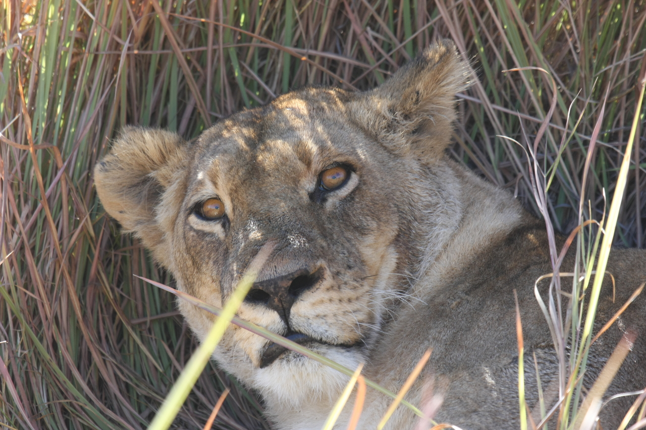 [18704] 2016_06_28_04_16_00_Africa_Canon_EOS_40D_IMG__02718.jpg