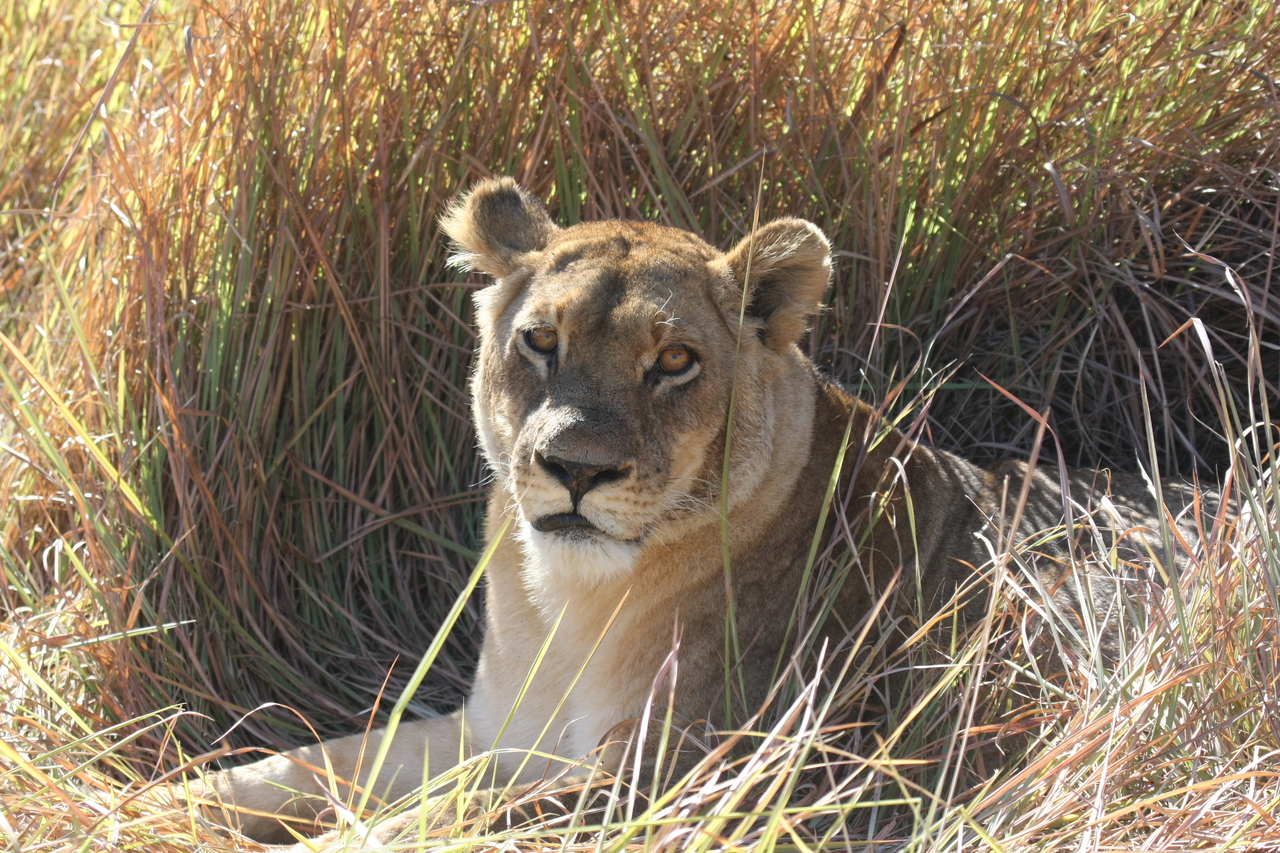 [18775] 2016_06_28_04_17_43_Africa_Canon_EOS_40D_IMG__10190.jpg