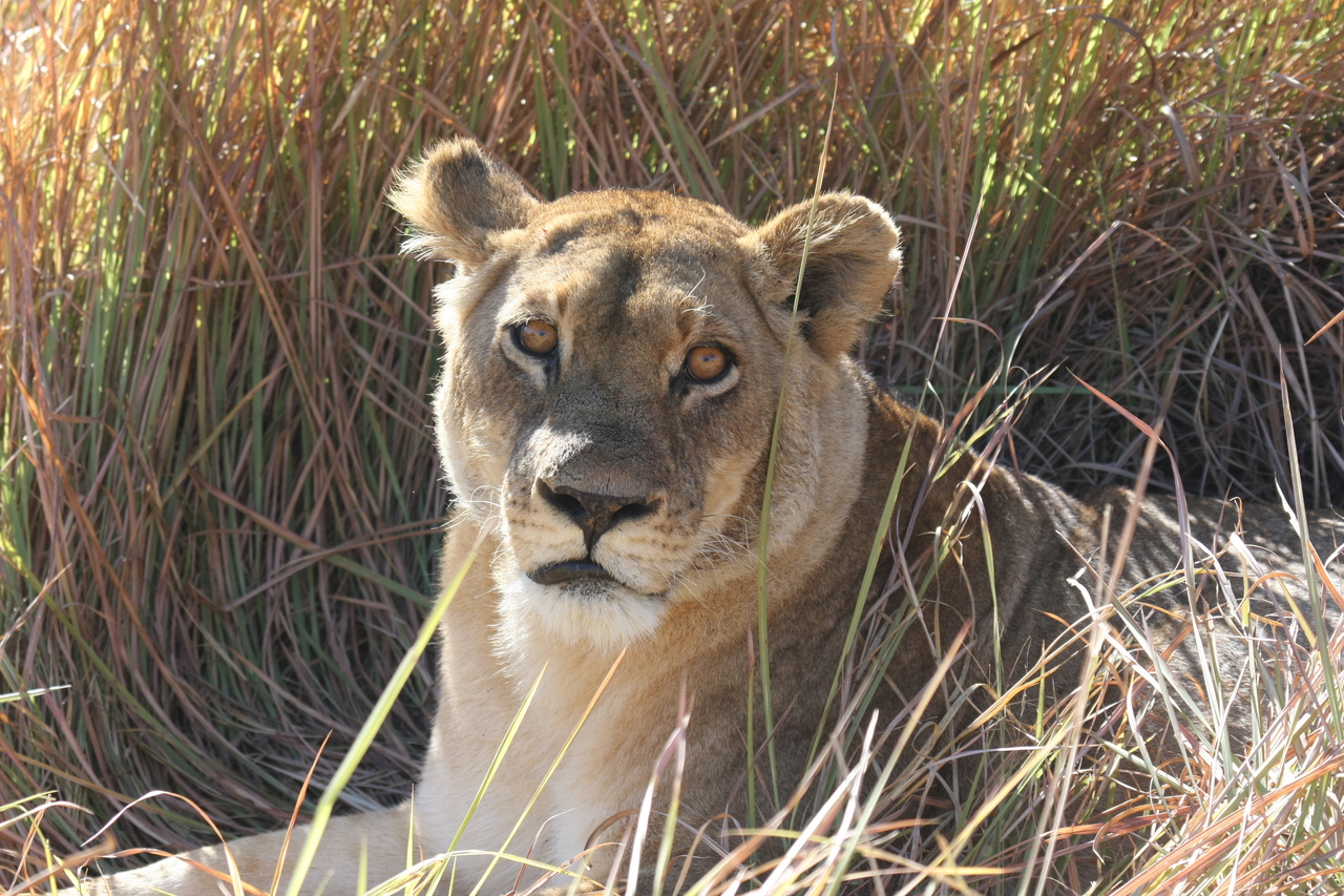 [18794] 2016_06_28_04_17_47_Africa_Canon_EOS_40D_IMG__10198.jpg