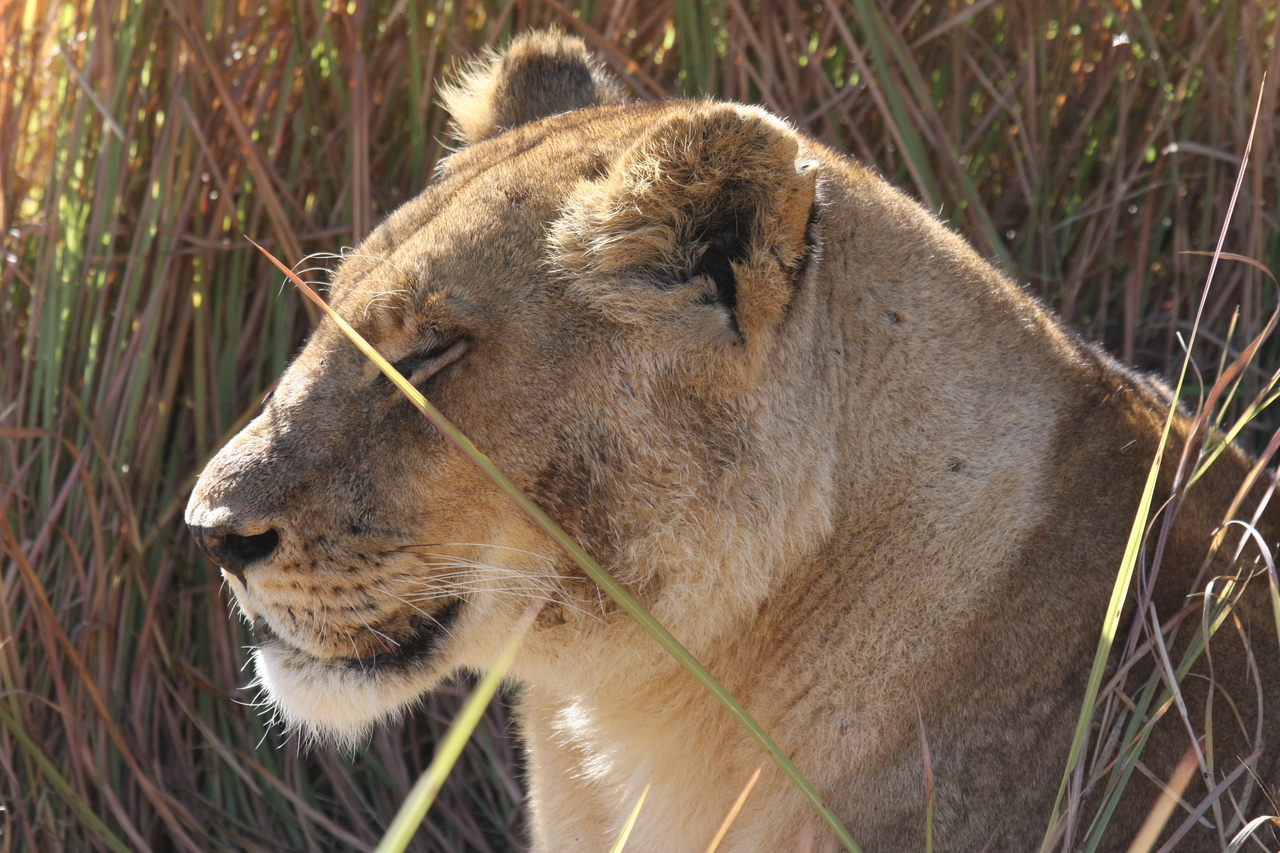 [18808] 2016_06_28_04_18_03_Africa_Canon_EOS_40D_IMG__02757.jpg