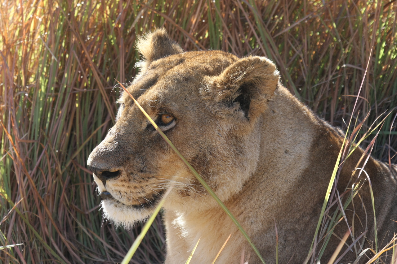 [18817] 2016_06_28_04_18_07_Africa_Canon_EOS_40D_IMG__00372.jpg