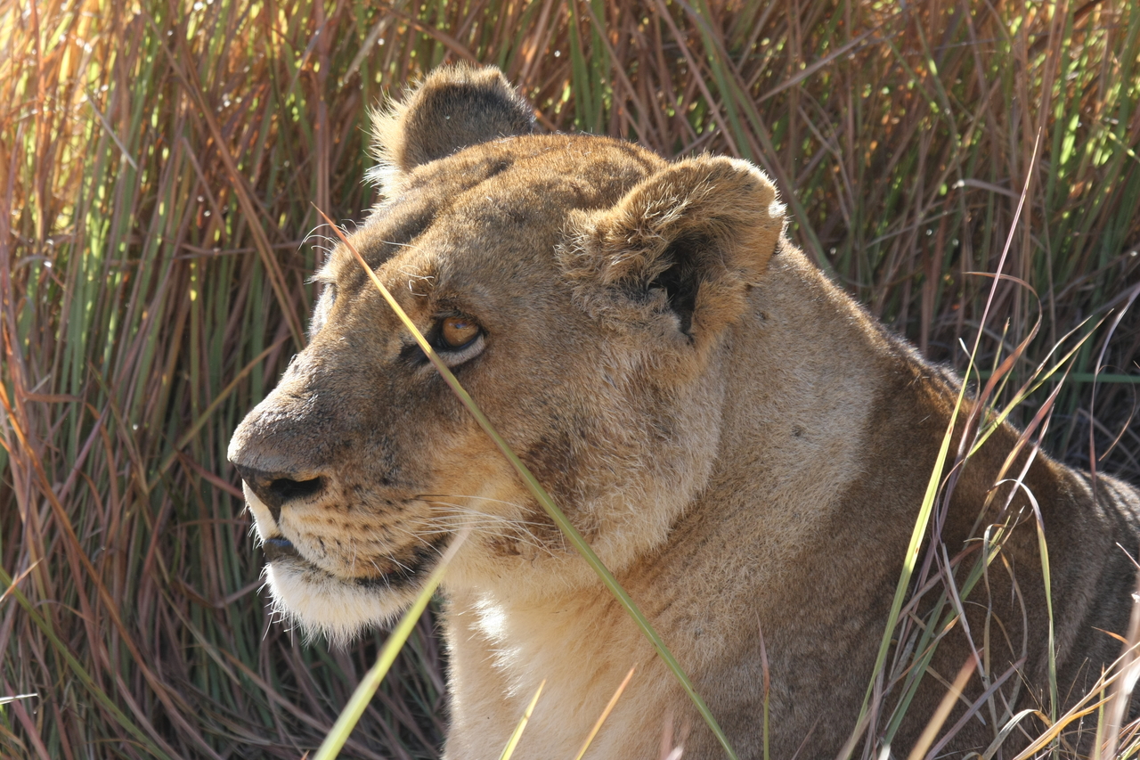 [18825] 2016_06_28_04_18_07_Africa_Canon_EOS_40D_IMG__10208.jpg