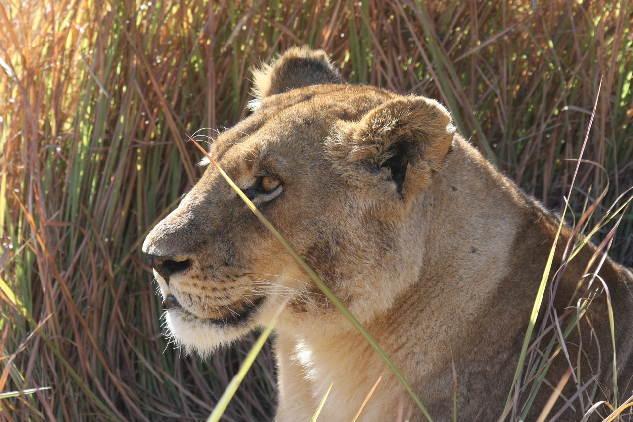 [18831] 2016_06_28_04_18_12_Africa_Canon_EOS_40D_IMG__10210.jpg