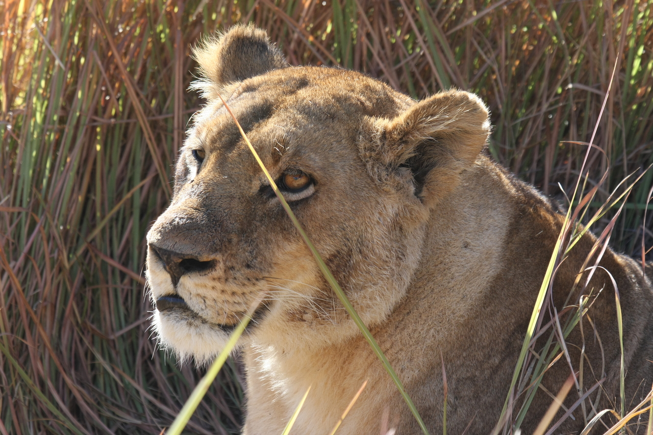 [18836] 2016_06_28_04_18_15_Africa_Canon_EOS_40D_IMG__02765.jpg