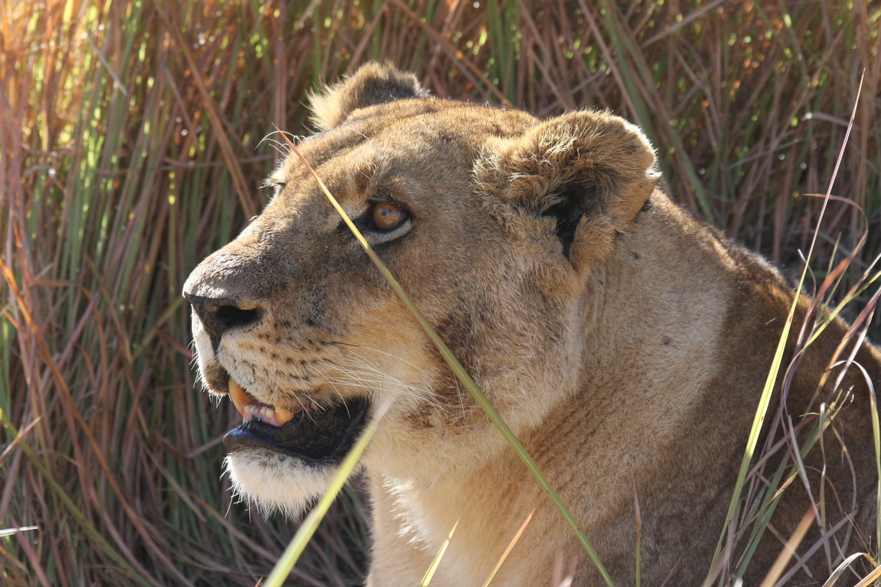 [18842] 2016_06_28_04_18_17_Africa_Canon_EOS_40D_IMG__00382.jpg