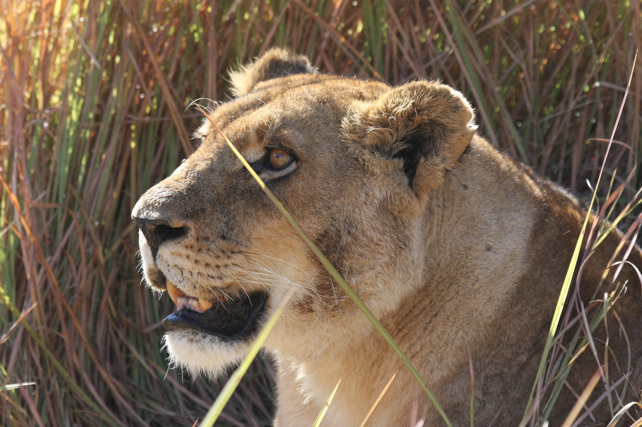 [18847] 2016_06_28_04_18_18_Africa_Canon_EOS_40D_IMG__00383.jpg