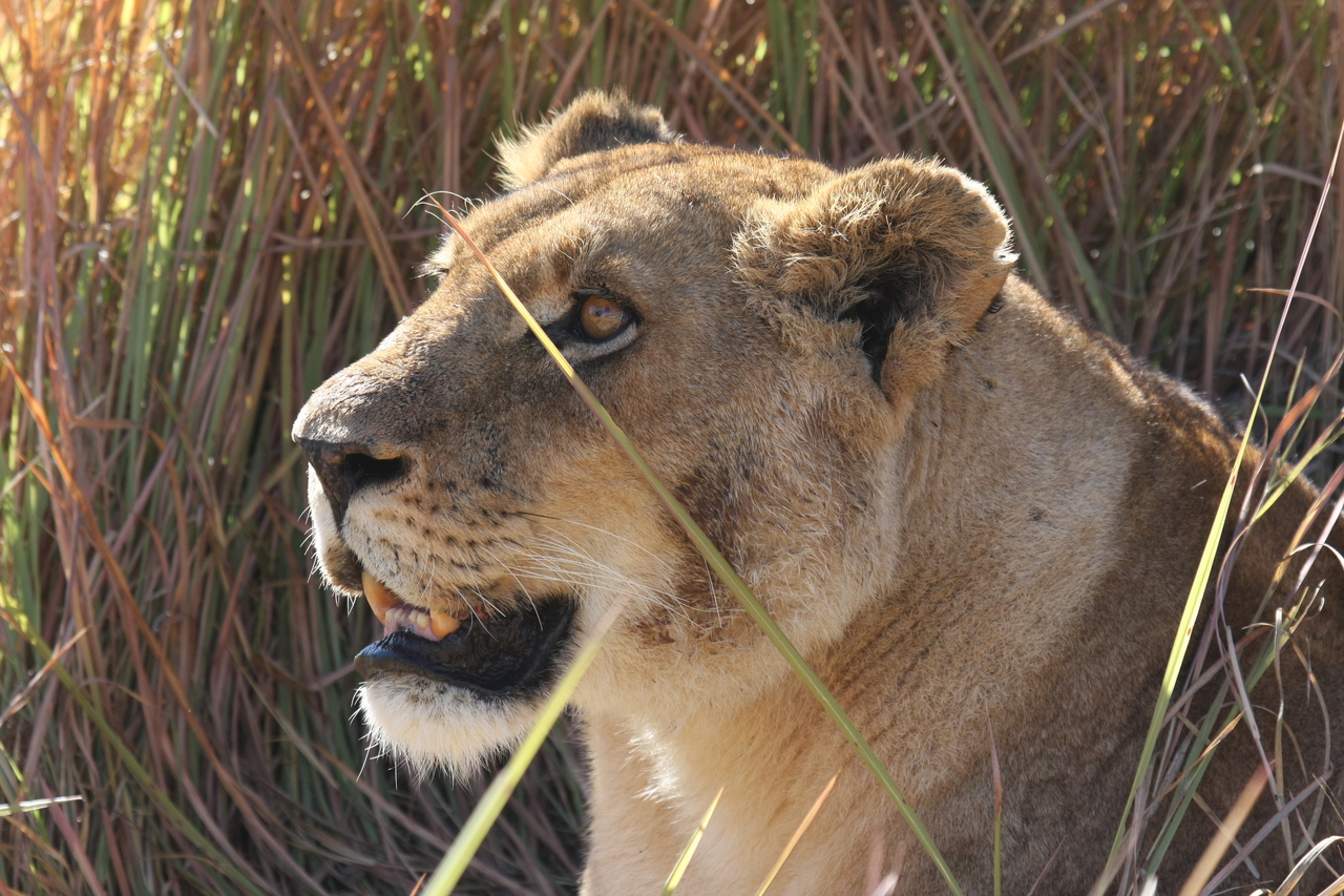 [18851] 2016_06_28_04_18_18_Africa_Canon_EOS_40D_IMG__02771.jpg