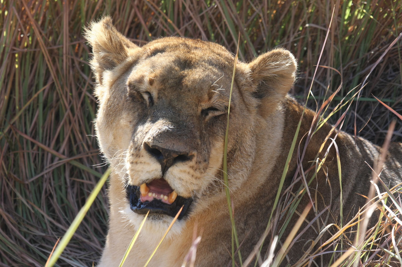 [18882] 2016_06_28_04_18_28_Africa_Canon_EOS_40D_IMG__02783.jpg