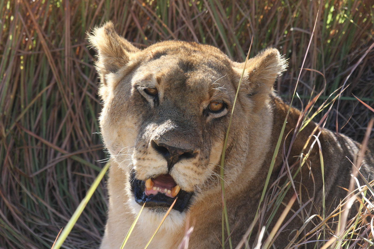 [18891] 2016_06_28_04_18_29_Africa_Canon_EOS_40D_IMG__02786.jpg