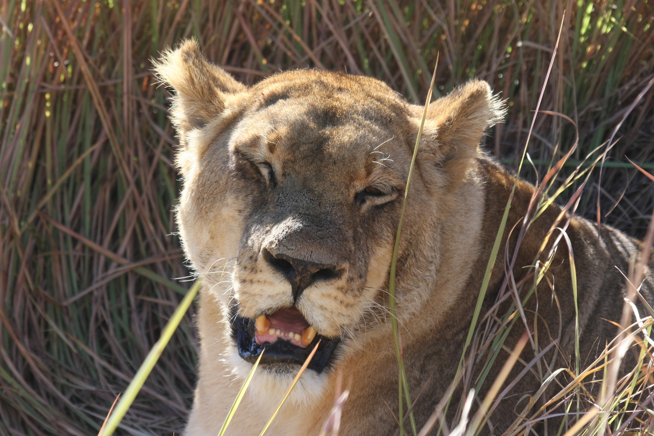 [18895] 2016_06_28_04_18_31_Africa_Canon_EOS_40D_IMG__00400.jpg