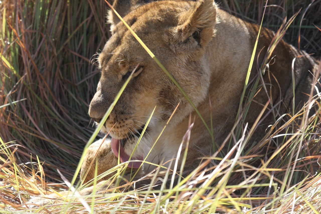 [18922] 2016_06_28_04_18_40_Africa_Canon_EOS_40D_IMG__02797.jpg