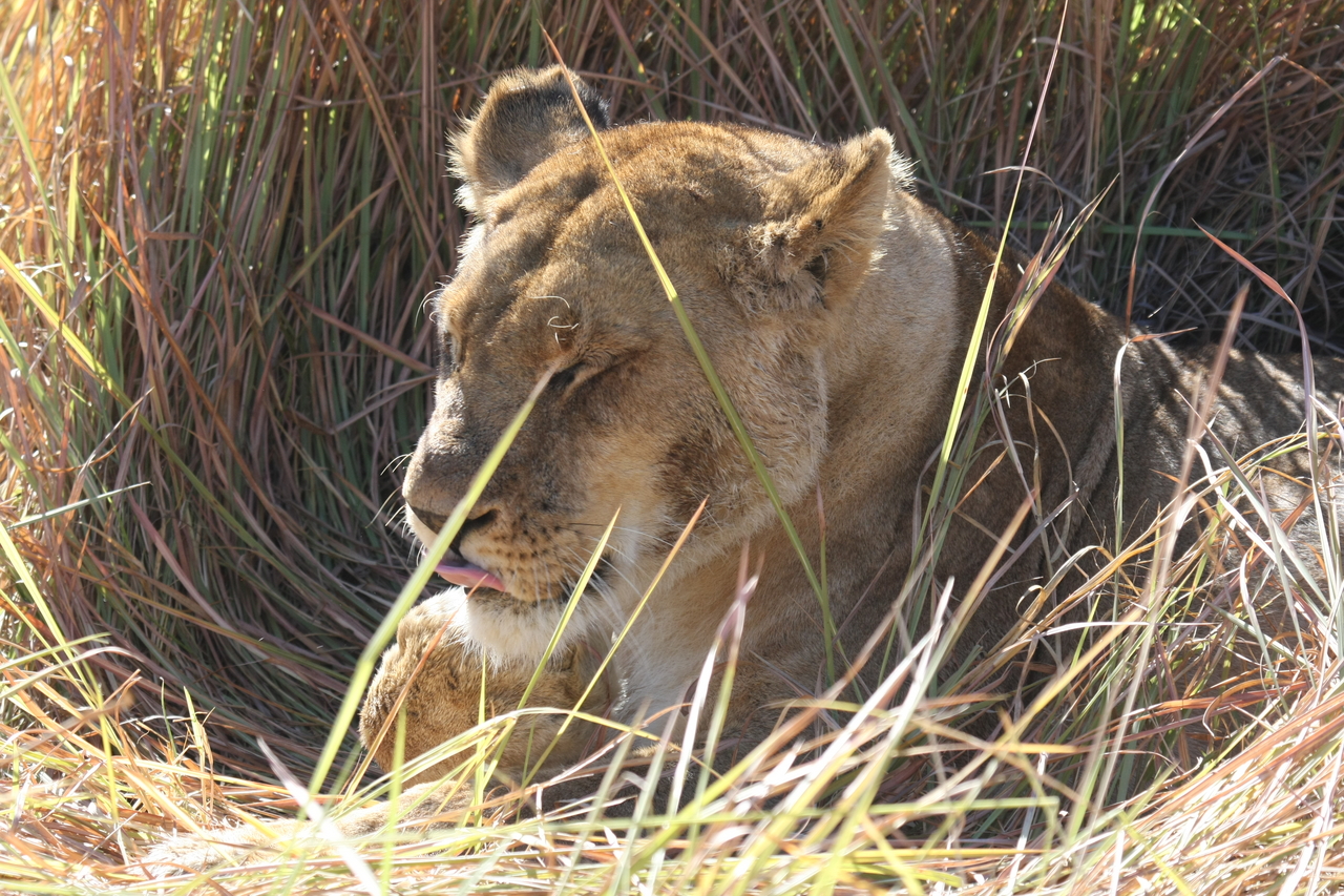 [18926] 2016_06_28_04_18_41_Africa_Canon_EOS_40D_IMG__02798.jpg