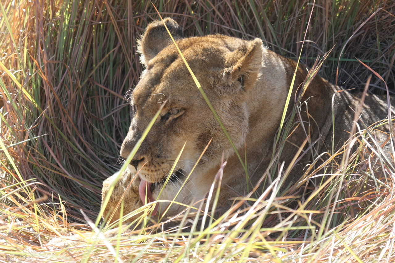 [18933] 2016_06_28_04_18_42_Africa_Canon_EOS_40D_IMG__02802.jpg