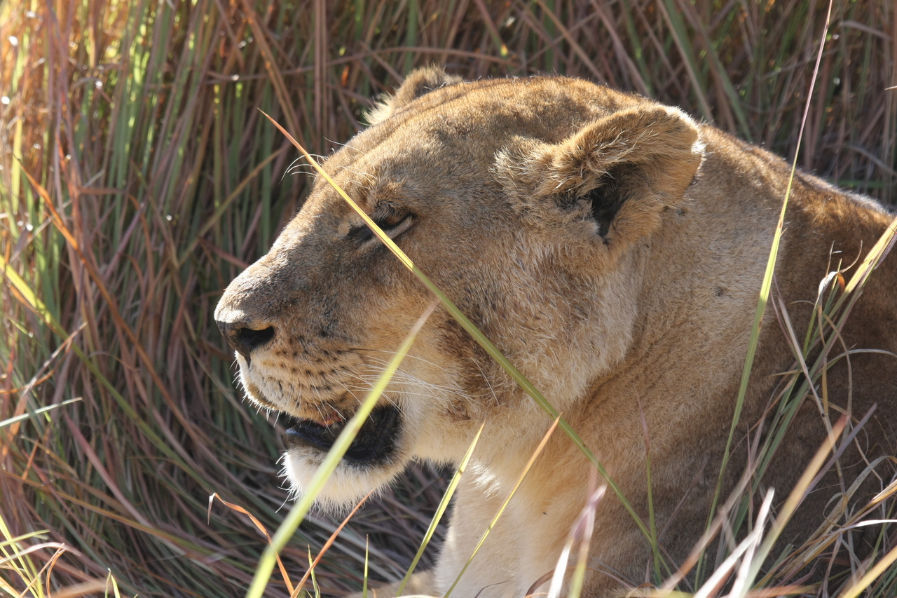 [18955] 2016_06_28_04_18_55_Africa_Canon_EOS_40D_IMG__02808.jpg