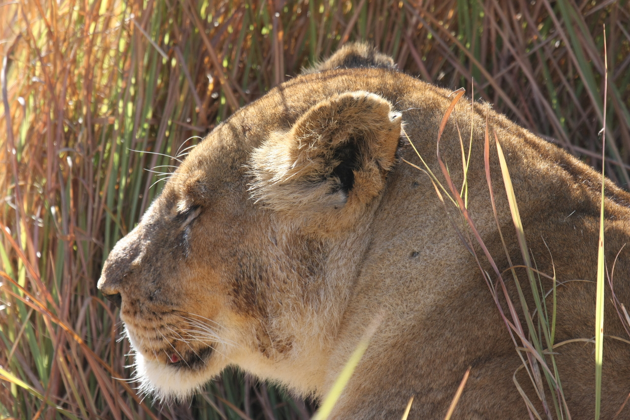 [18975] 2016_06_28_04_19_33_Africa_Canon_EOS_40D_IMG__02816.jpg