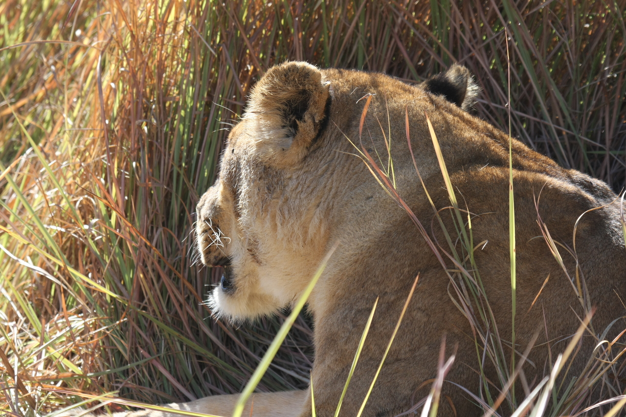 [18993] 2016_06_28_04_21_13_Africa_Canon_EOS_40D_IMG__00433.jpg