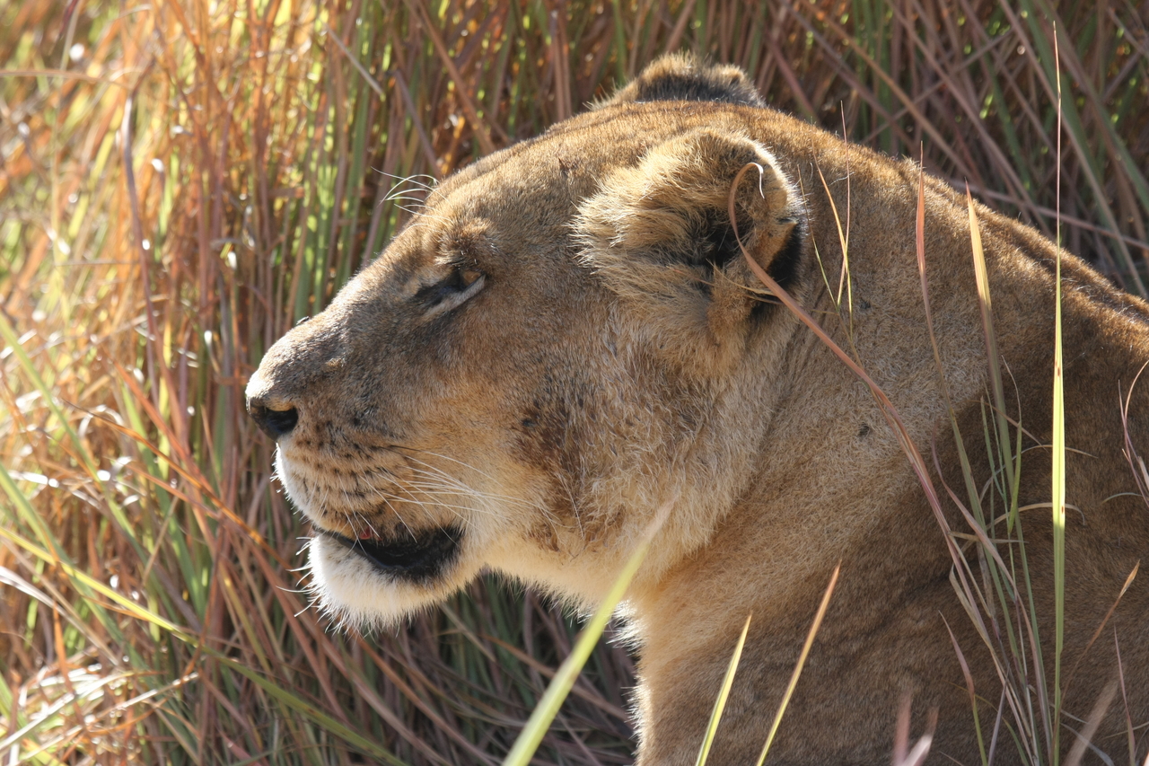 [19016] 2016_06_28_04_21_49_Africa_Canon_EOS_40D_IMG__10273.jpg