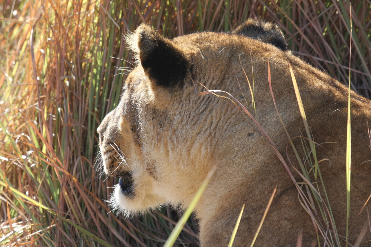 [19020] 2016_06_28_04_22_02_Africa_Canon_EOS_40D_IMG__02828.jpg