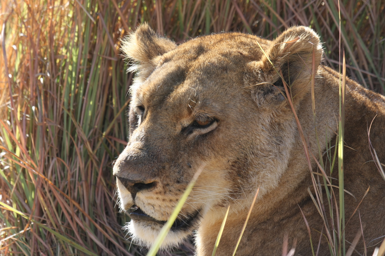 [19060] 2016_06_28_04_23_21_Africa_Canon_EOS_40D_IMG__10285.jpg