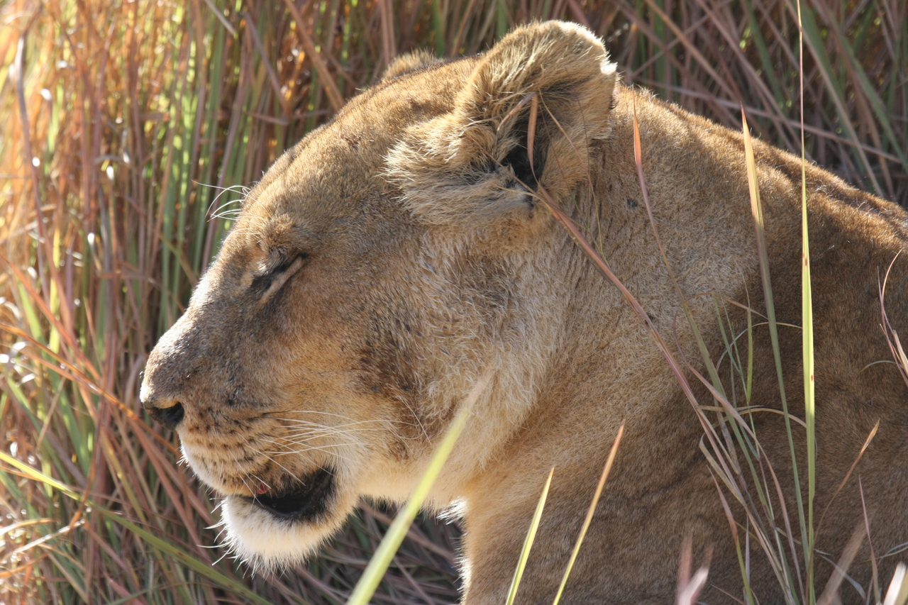 [19069] 2016_06_28_04_23_23_Africa_Canon_EOS_40D_IMG__10288.jpg