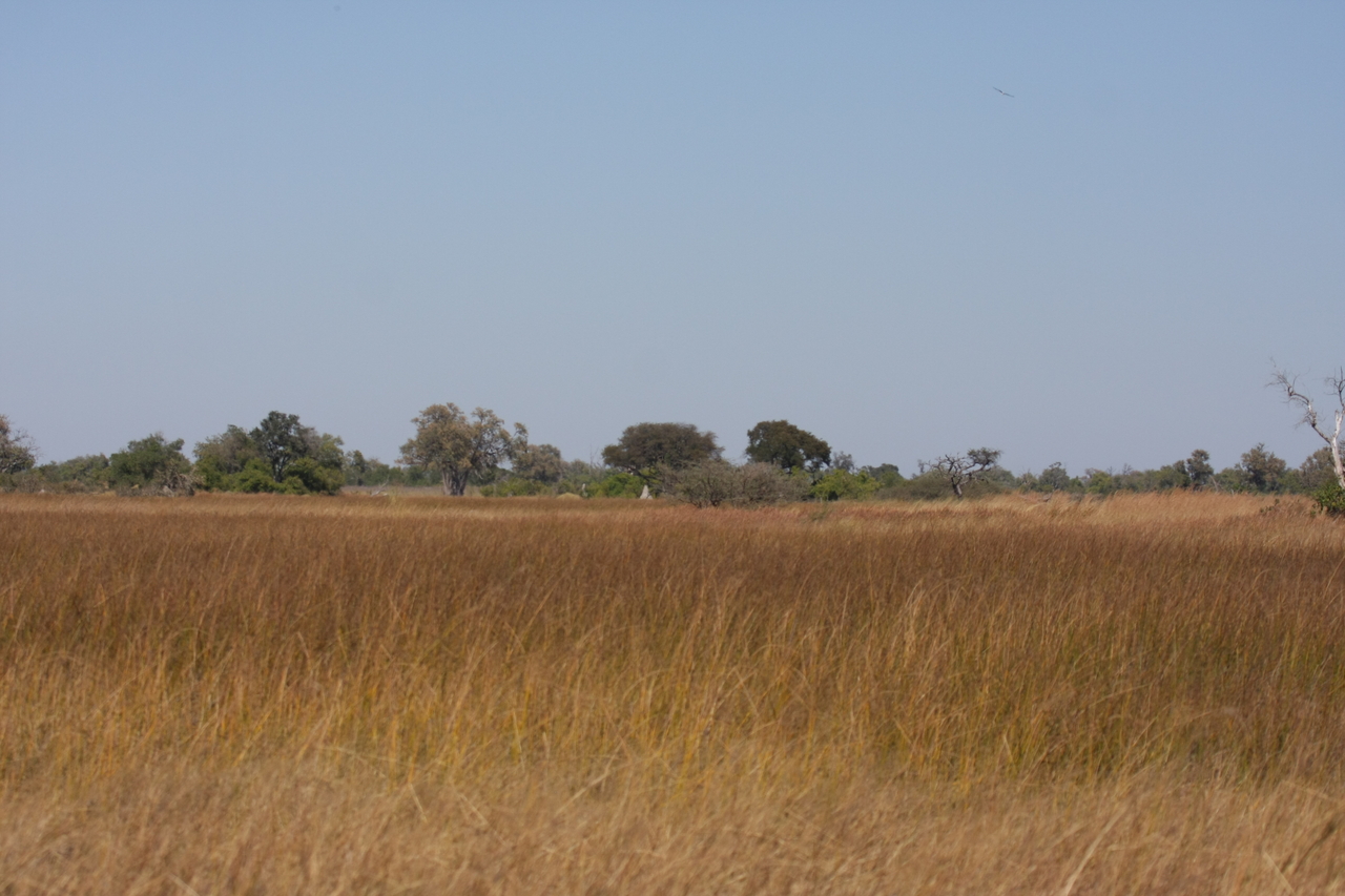 [19522] 2016_06_28_05_17_05_Africa_Canon_EOS_40D_IMG__10455.jpg