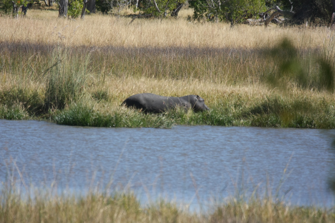 [19556] 2016_06_28_05_23_36_Africa_Canon_EOS_40D_IMG__00634.jpg