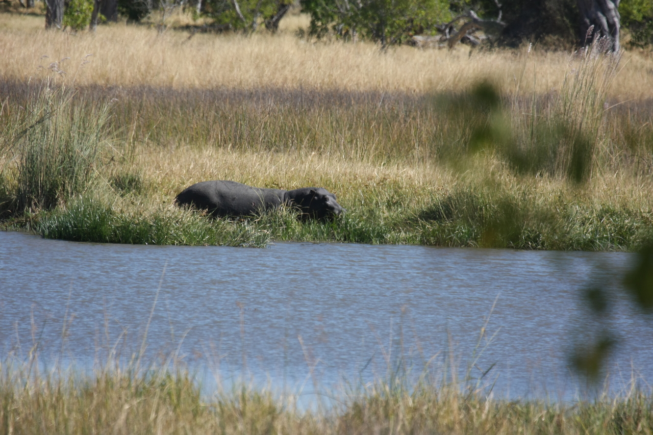 [19581] 2016_06_28_05_23_42_Africa_Canon_EOS_40D_IMG__03030.jpg