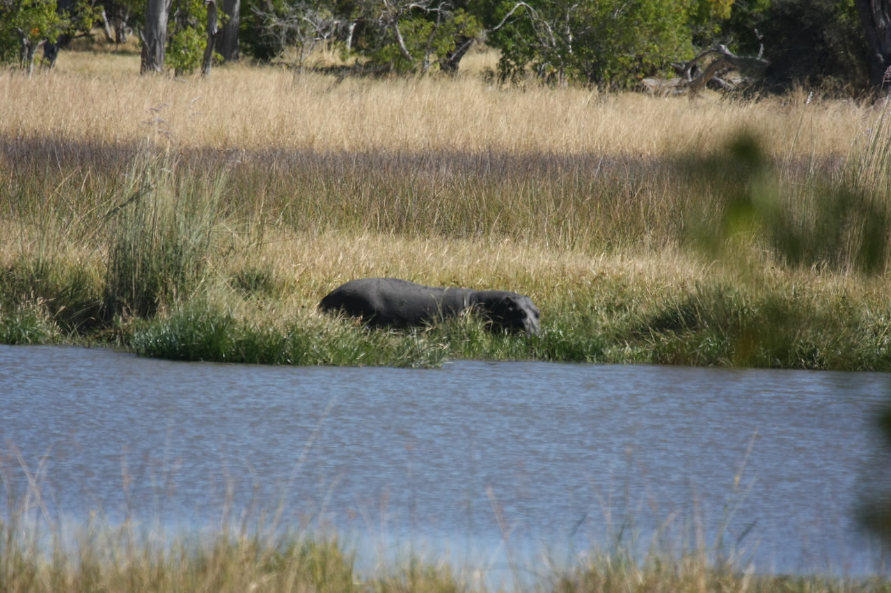 [19600] 2016_06_28_05_23_49_Africa_Canon_EOS_40D_IMG__00652.jpg