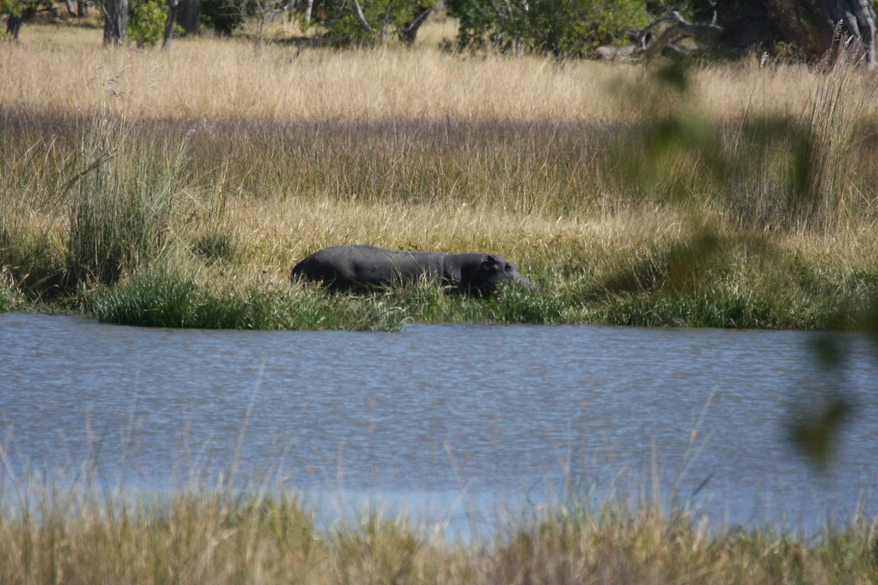 [19607] 2016_06_28_05_24_04_Africa_Canon_EOS_40D_IMG__00653.jpg