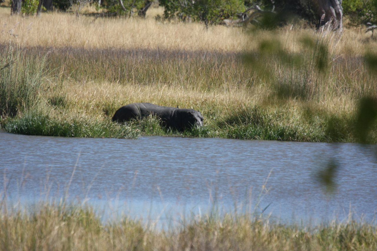 [19636] 2016_06_28_05_25_03_Africa_Canon_EOS_40D_IMG__00665.jpg
