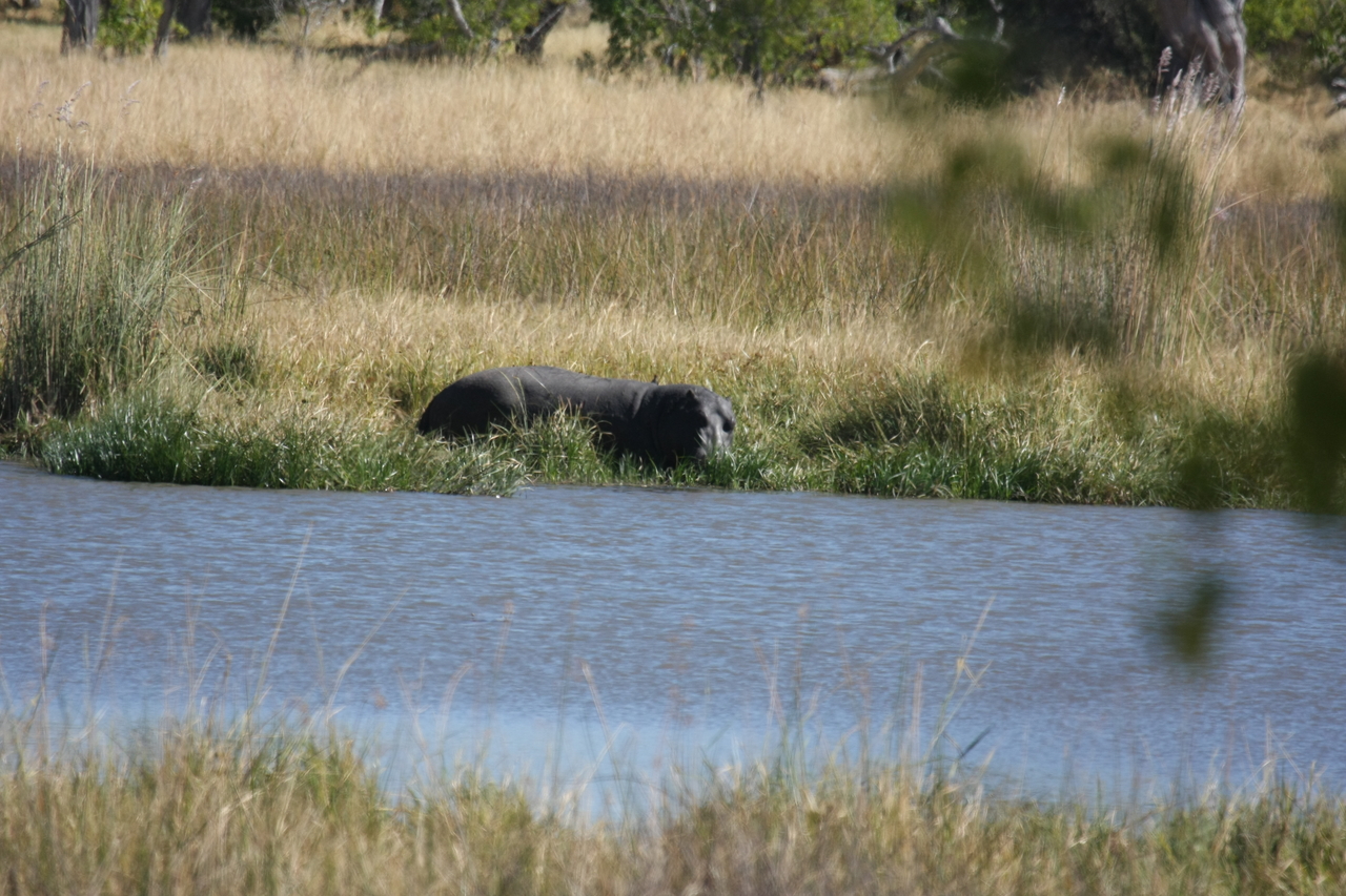 [19638] 2016_06_28_05_25_03_Africa_Canon_EOS_40D_IMG__03051.jpg