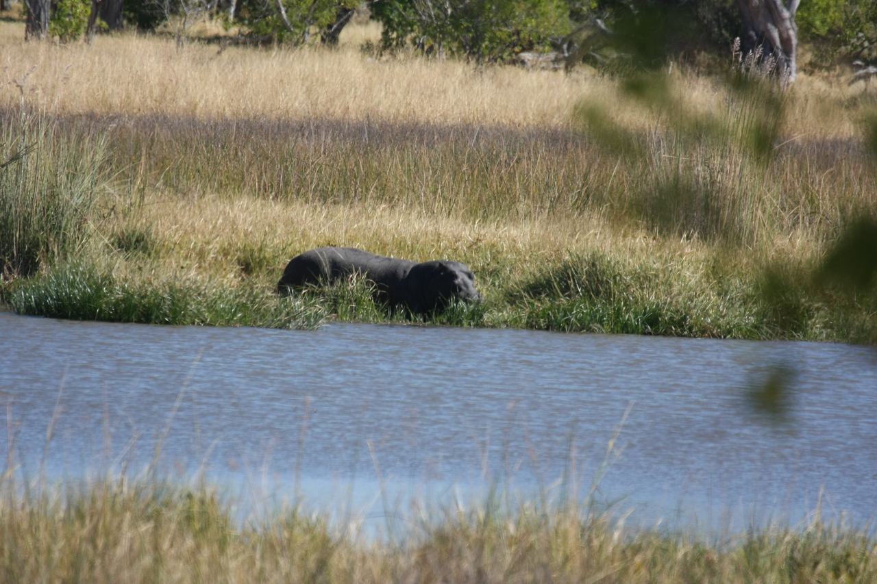 [19651] 2016_06_28_05_25_08_Africa_Canon_EOS_40D_IMG__10504.jpg