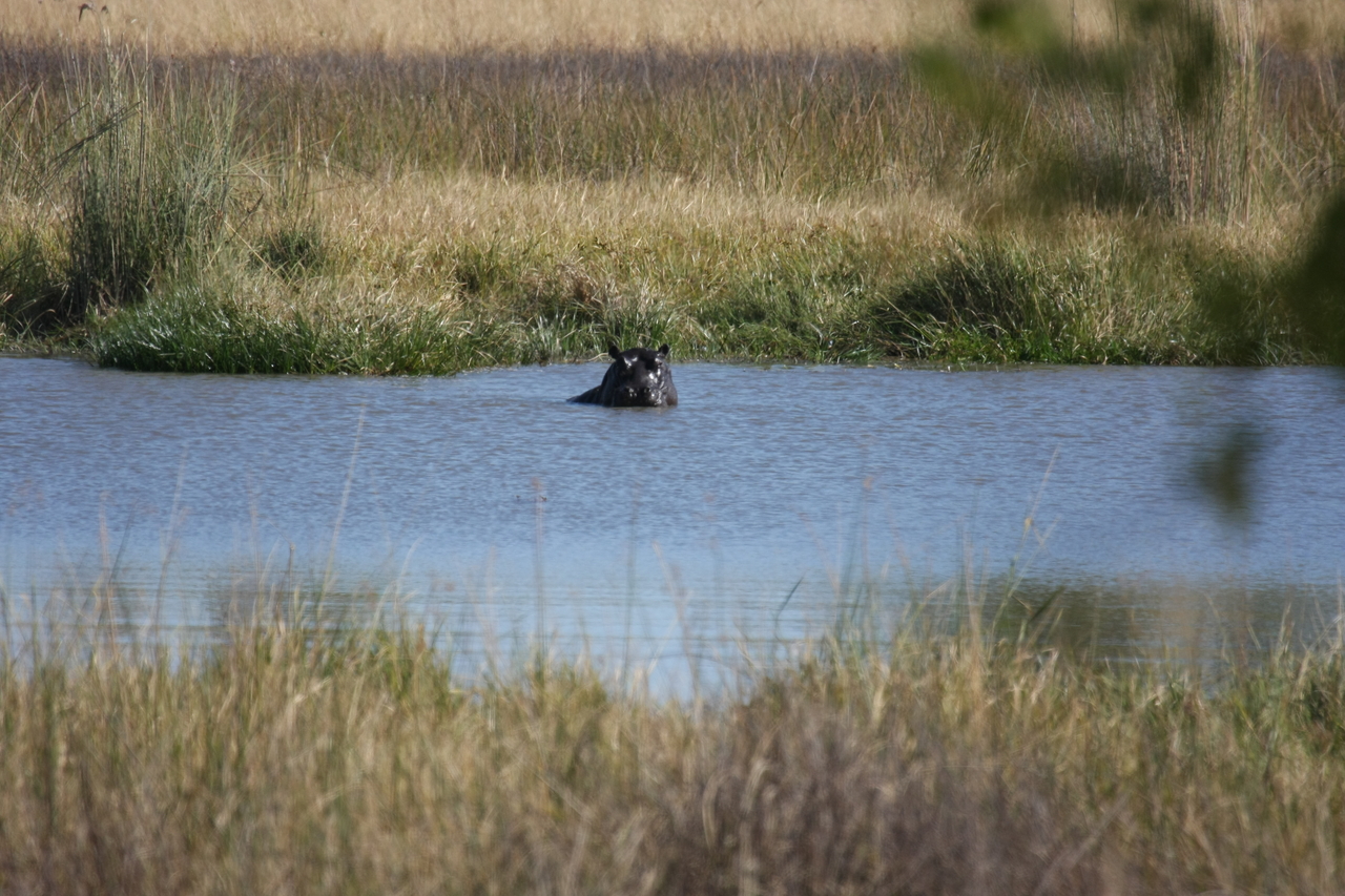 [19674] 2016_06_28_05_27_25_Africa_Canon_EOS_40D_IMG__03065.jpg