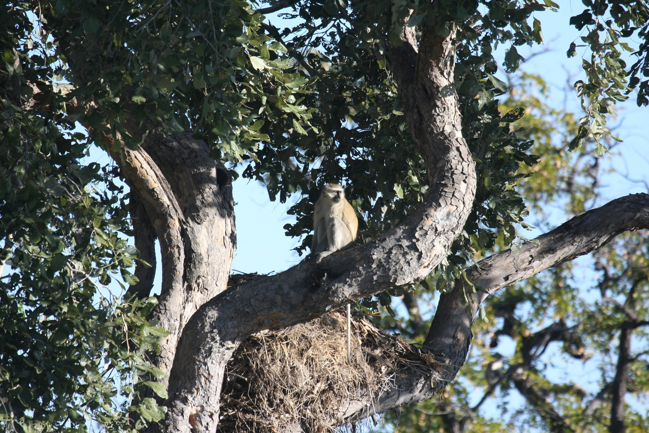 [20001] 2016_06_28_10_28_11_Africa_Canon_EOS_40D_IMG__03120.jpg