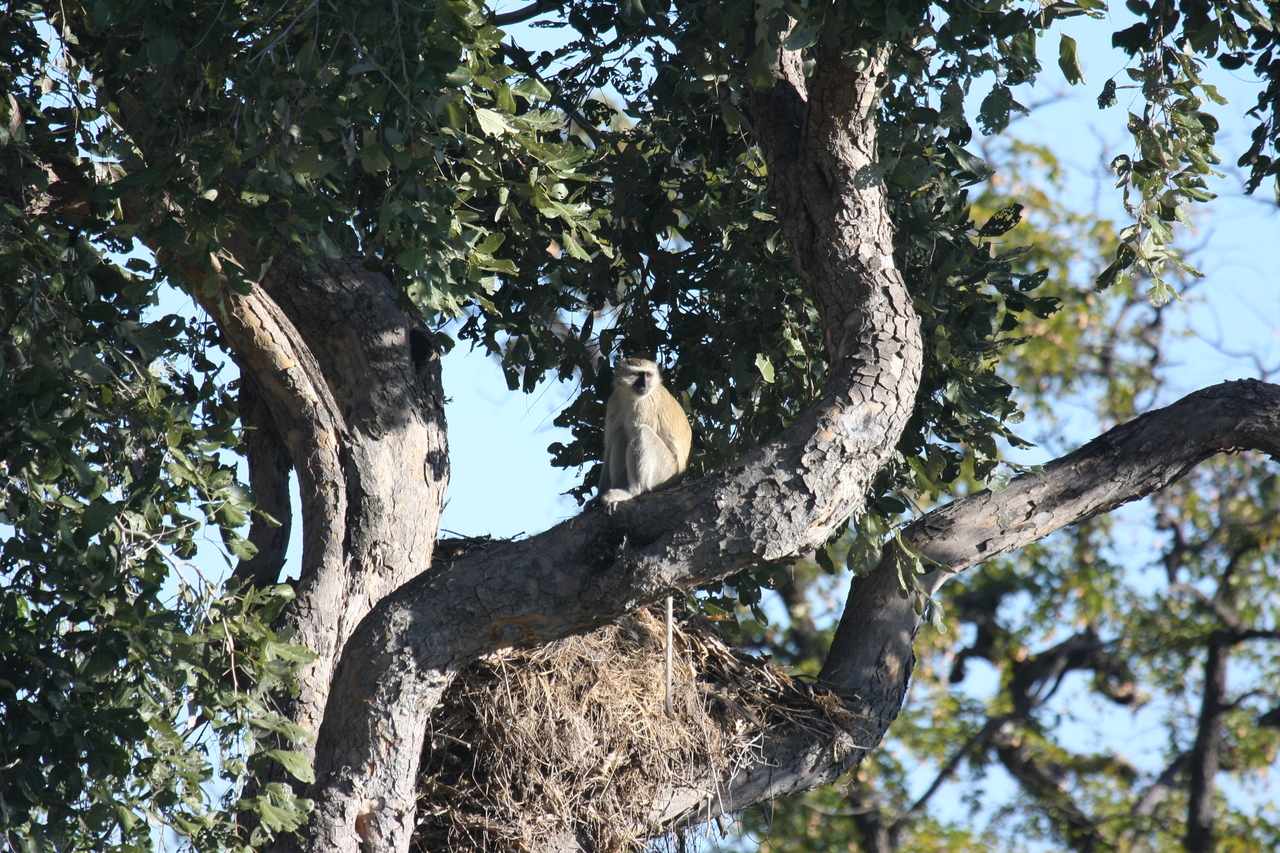 [20013] 2016_06_28_10_28_24_Africa_Canon_EOS_40D_IMG__00738.jpg