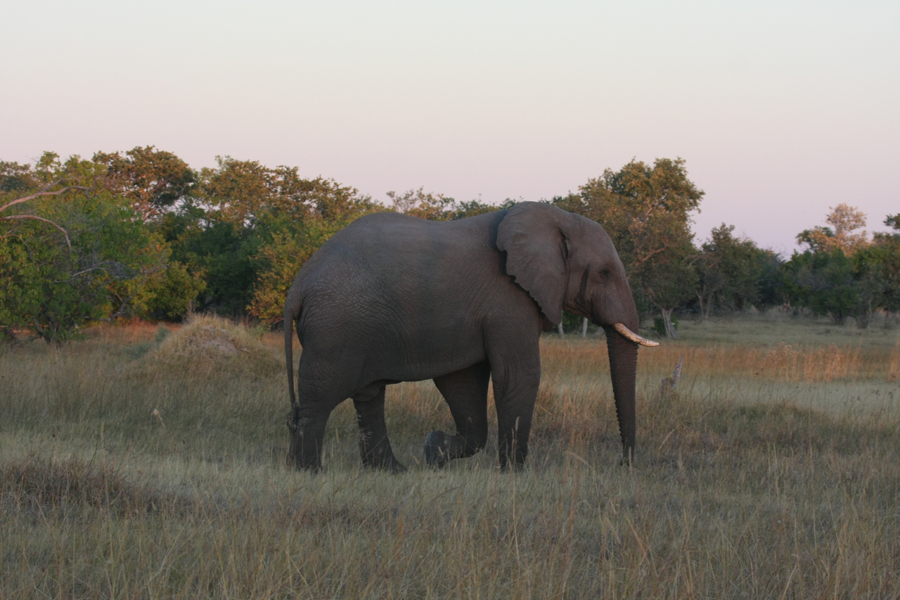 [20158] 2016_06_28_11_53_09_Africa_Canon_EOS_40D_IMG__00769.jpg