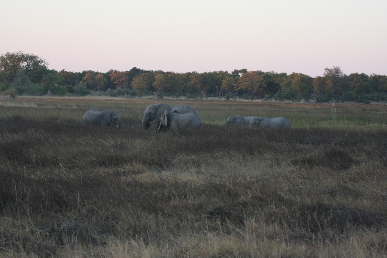 [20177] 2016_06_28_11_54_14_Africa_Canon_EOS_40D_IMG__10608.jpg