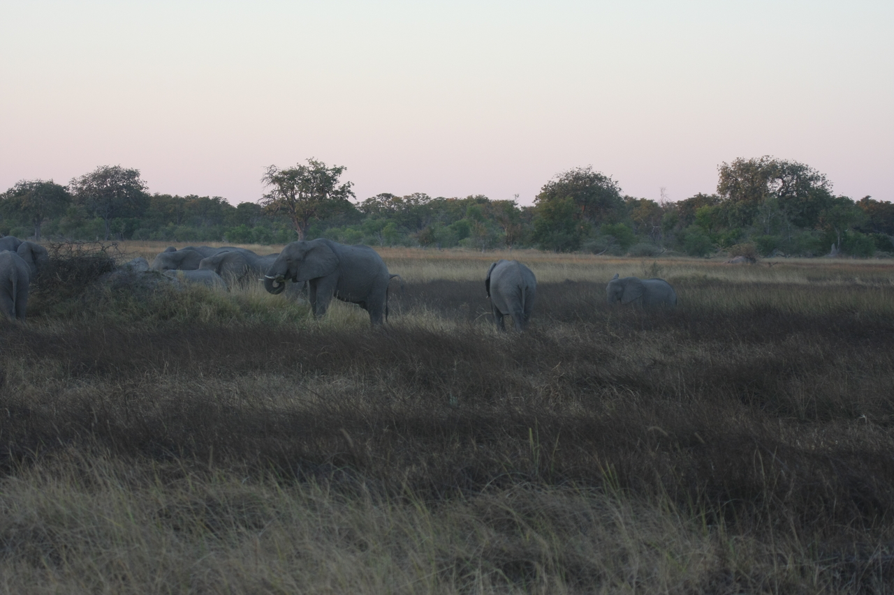 [20178] 2016_06_28_11_54_18_Africa_Canon_EOS_40D_IMG__00775.jpg