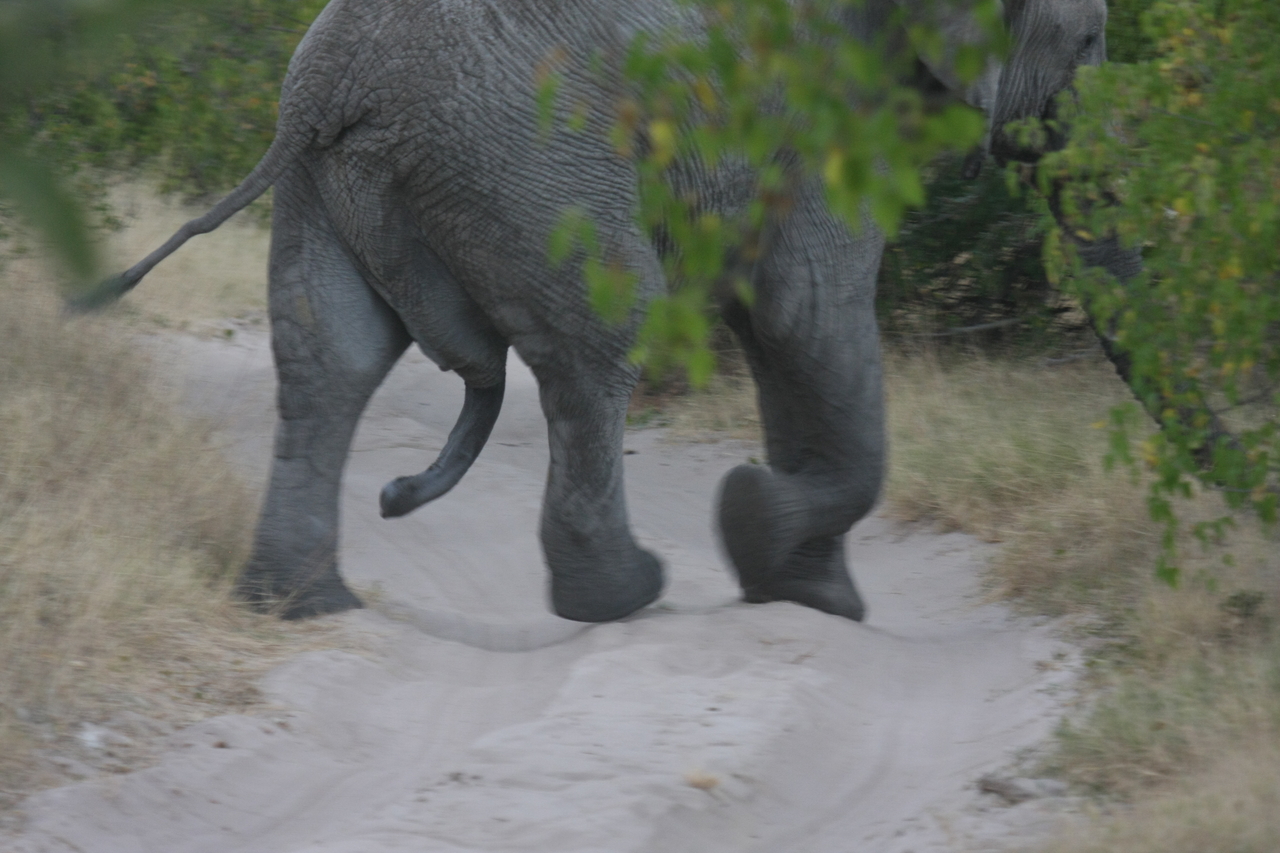 [20334] 2016_06_28_12_00_25_Africa_Canon_EOS_40D_IMG__03214.jpg