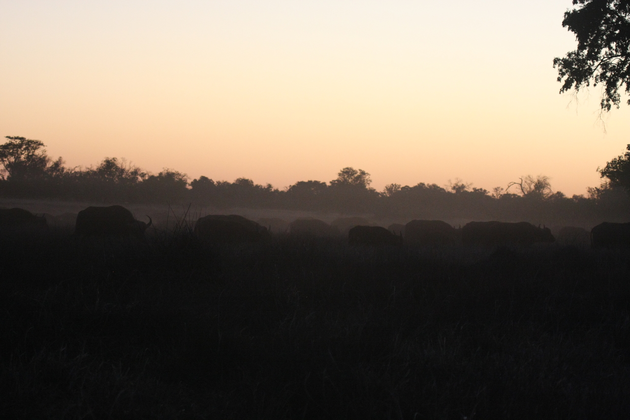 [20346] 2016_06_28_12_17_47_Africa_Canon_EOS_40D_IMG__00831.jpg