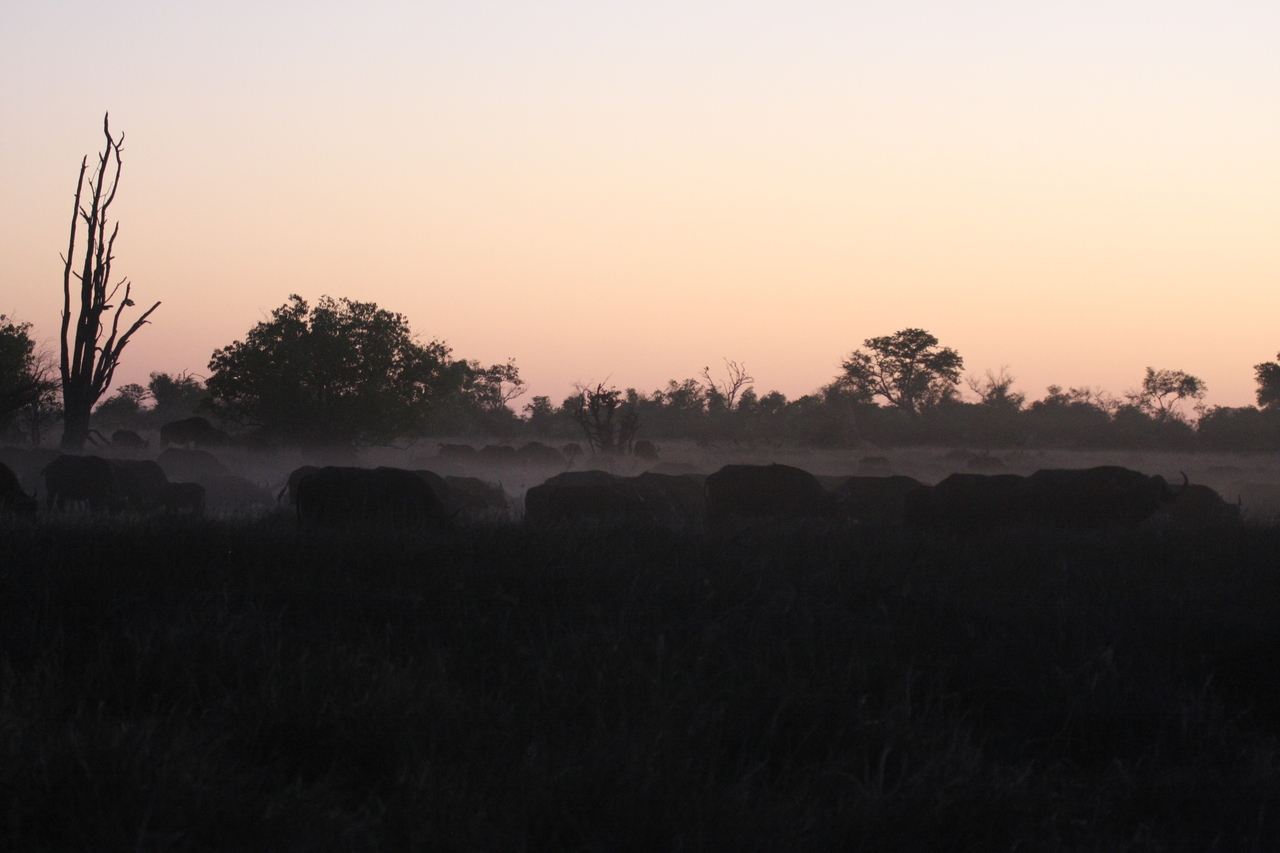 [20359] 2016_06_28_12_17_57_Africa_Canon_EOS_40D_IMG__10668.jpg