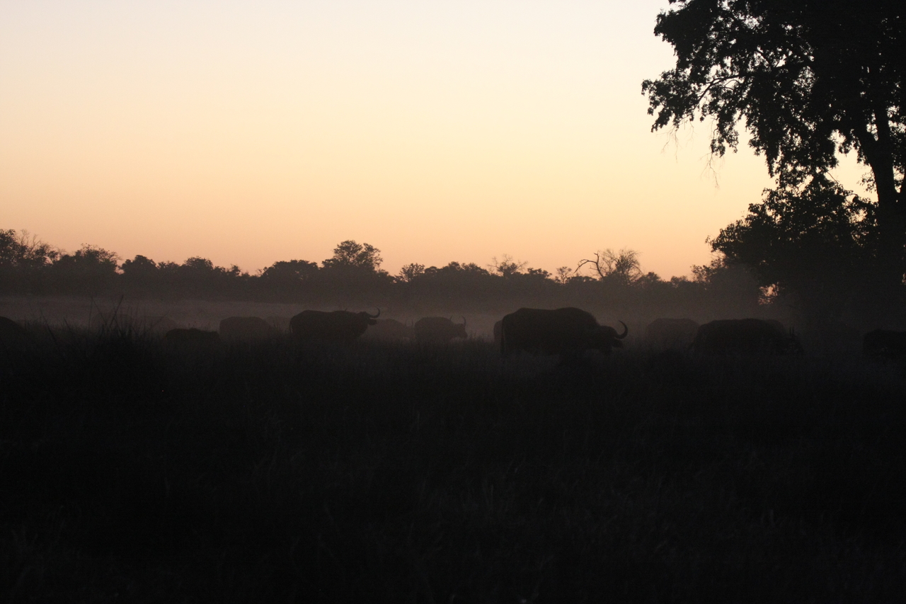 [20364] 2016_06_28_12_18_09_Africa_Canon_EOS_40D_IMG__03225.jpg