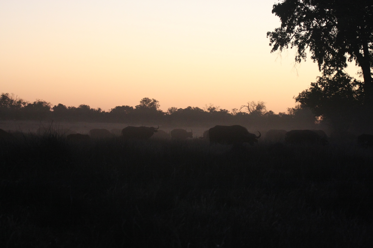 [20365] 2016_06_28_12_18_09_Africa_Canon_EOS_40D_IMG__10671.jpg