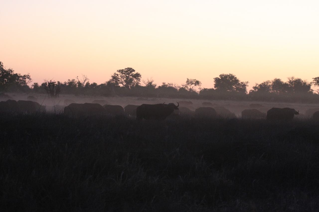 [20369] 2016_06_28_12_18_58_Africa_Canon_EOS_40D_IMG__03226.jpg