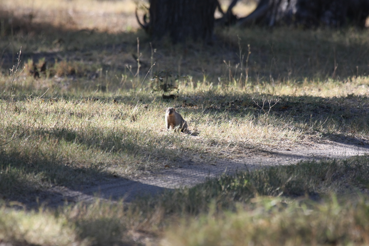 [20887] 2016_06_29_03_08_53_Africa_Canon_EOS_40D_IMG__00039.jpg
