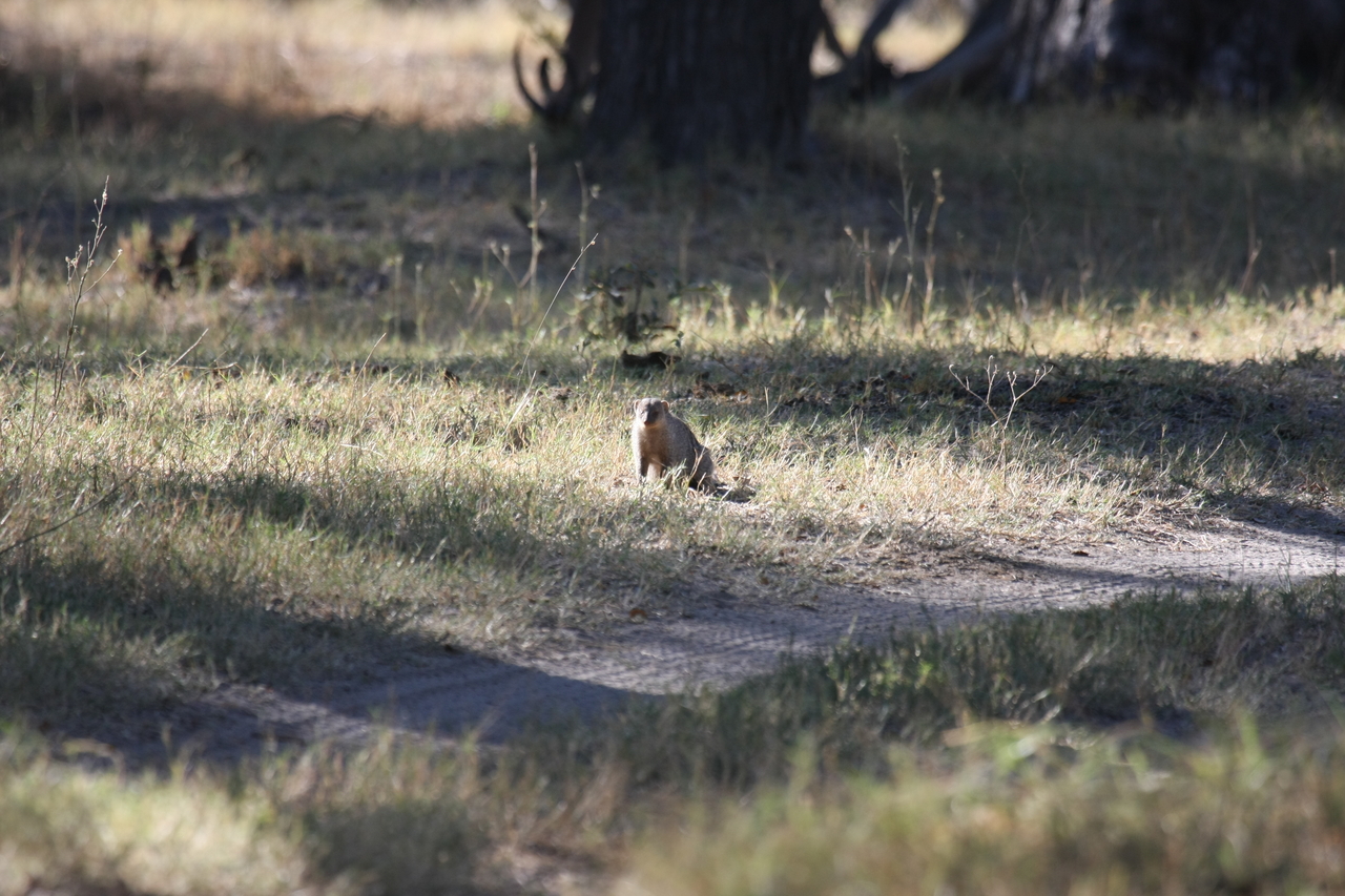 [20891] 2016_06_29_03_08_53_Africa_Canon_EOS_40D_IMG__10726.jpg