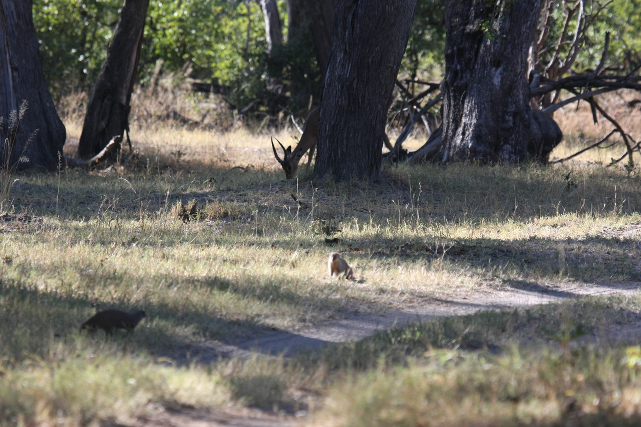 [20901] 2016_06_29_03_09_01_Africa_Canon_EOS_40D_IMG__10730.jpg