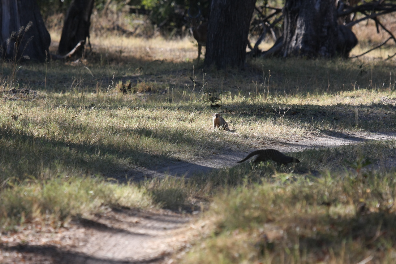 [20907] 2016_06_29_03_09_04_Africa_Canon_EOS_40D_IMG__03286.jpg